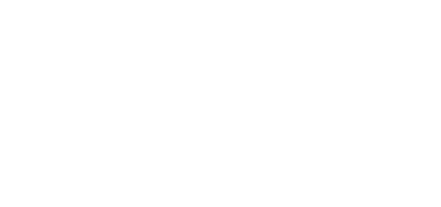 Pest Brothers Logo