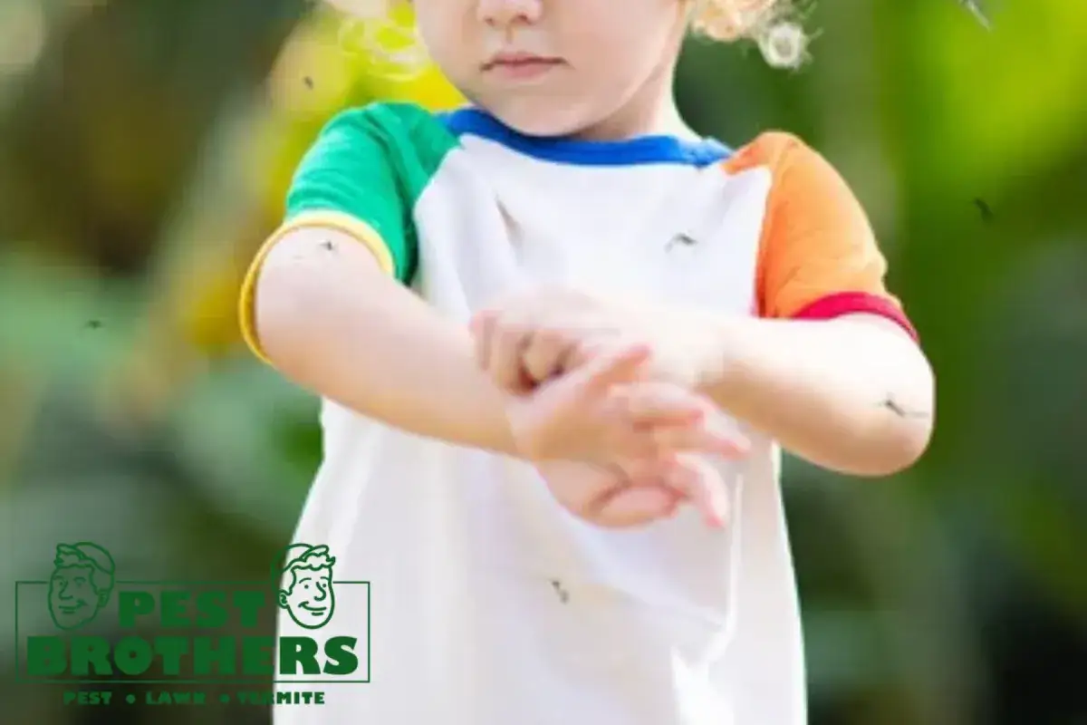 How Does Mosquito Control Reduce Both Adult Mosquitoes and Larvae Around a Property 2 mosquito on kid skin