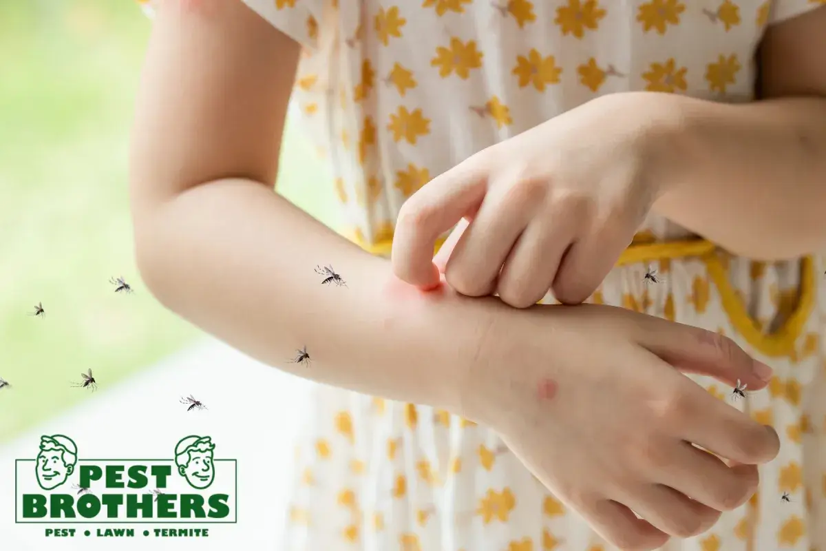 How Does Professional Mosquito Control Reduce Mosquitoes Around a Home 1 mosquito bite